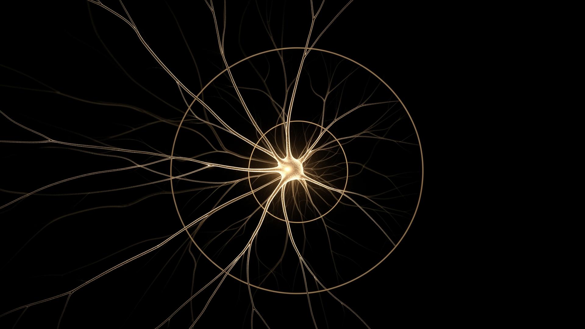 Red neuronal con arquitectura de proporción áurea